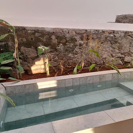 La Kaz Banian Hotell Saint Pierre Exteriör bild