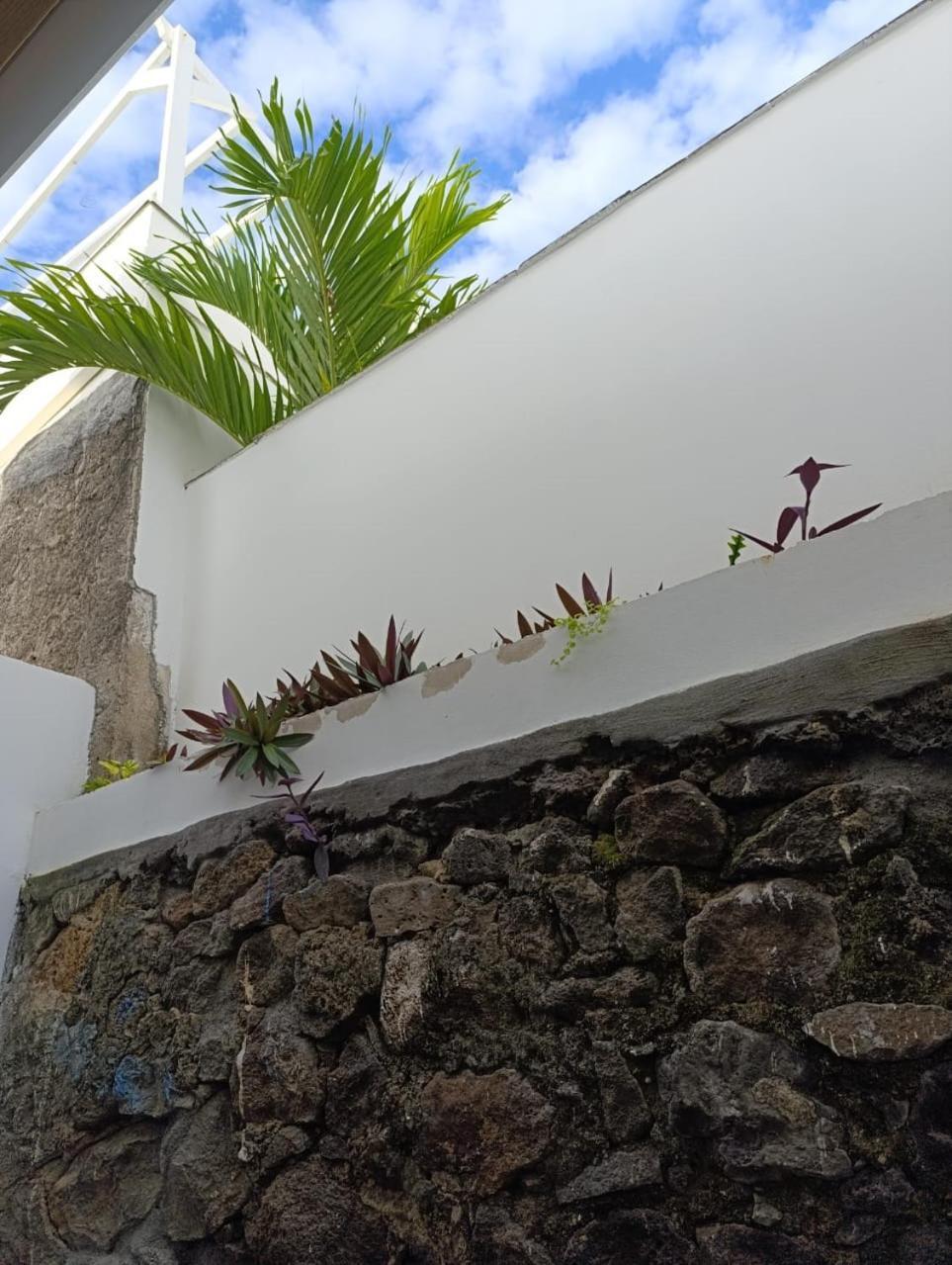 La Kaz Banian Hotell Saint Pierre Exteriör bild