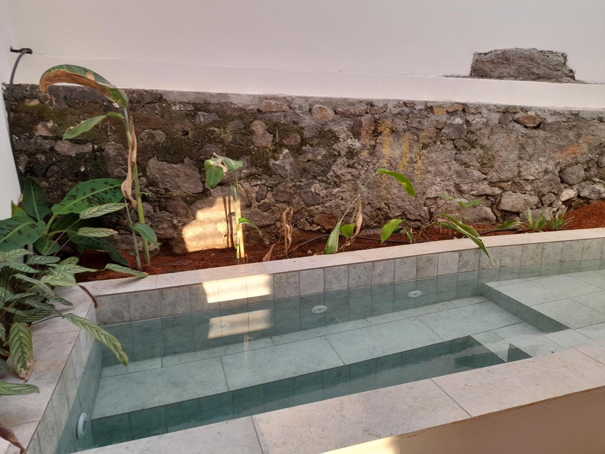 La Kaz Banian Hotell Saint Pierre Exteriör bild